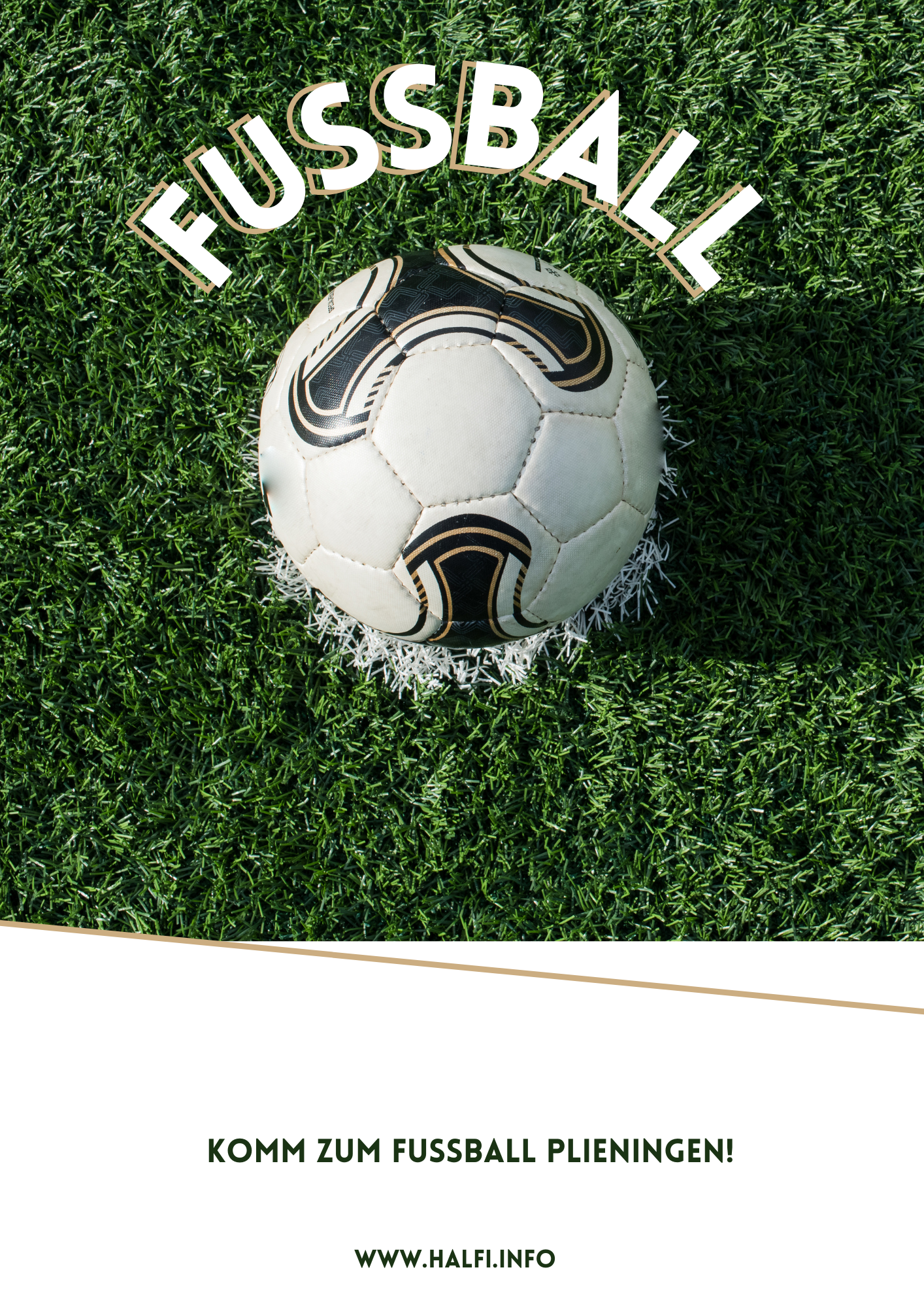 Fußball2